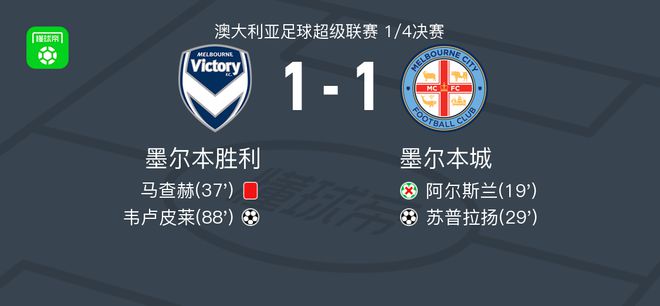 教练组在备