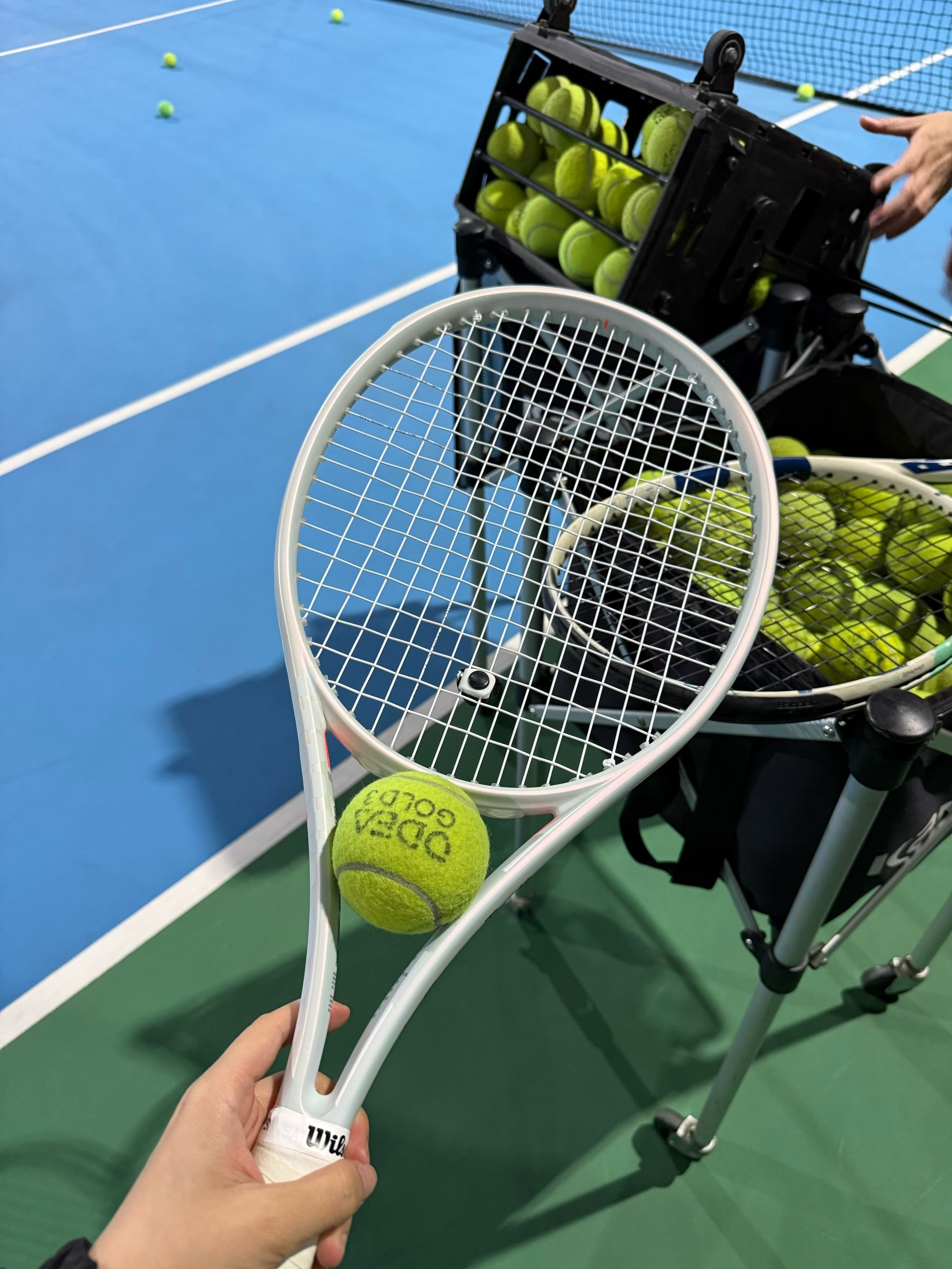 这一举措有 这一举措有